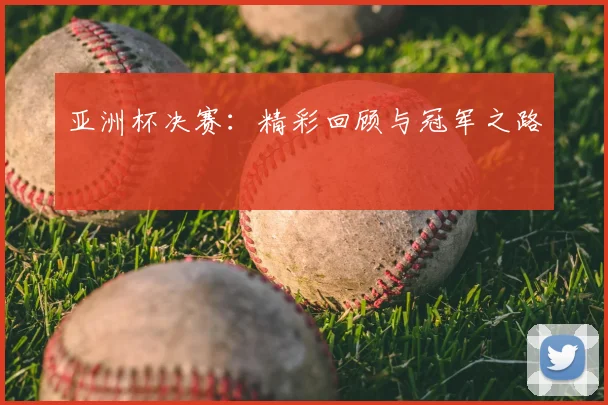 亚洲杯决赛：精彩回顾与冠军之路